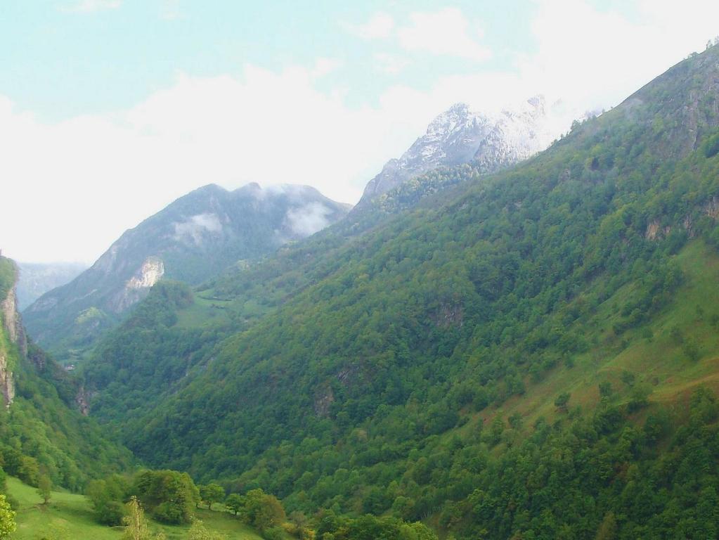 Hotel Chateau D'Arance Cette-Eygun Exteriér fotografie